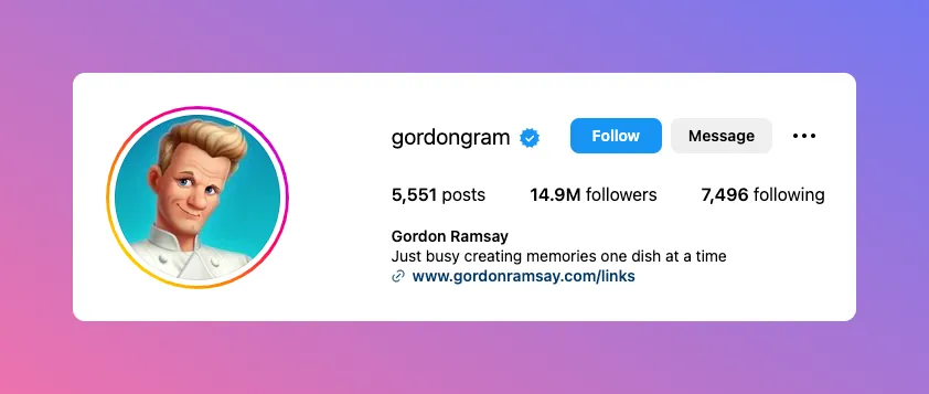 One of clever Instagram bio ideas from Gordon ramsay