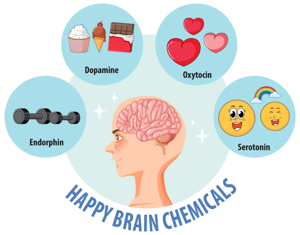 Why does ASMR make me sleepy? ASMR can induce feelings of comfort, relaxation, and sleepiness by activates hormones such as dopamine, oxytocin, and endorphins