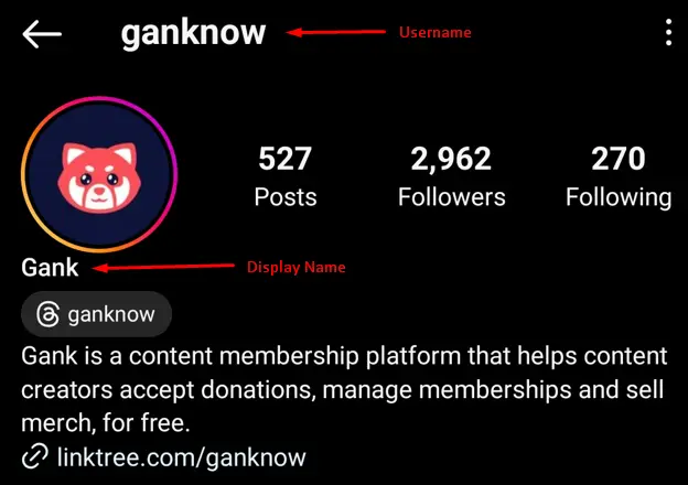 username and display name on Instagram
