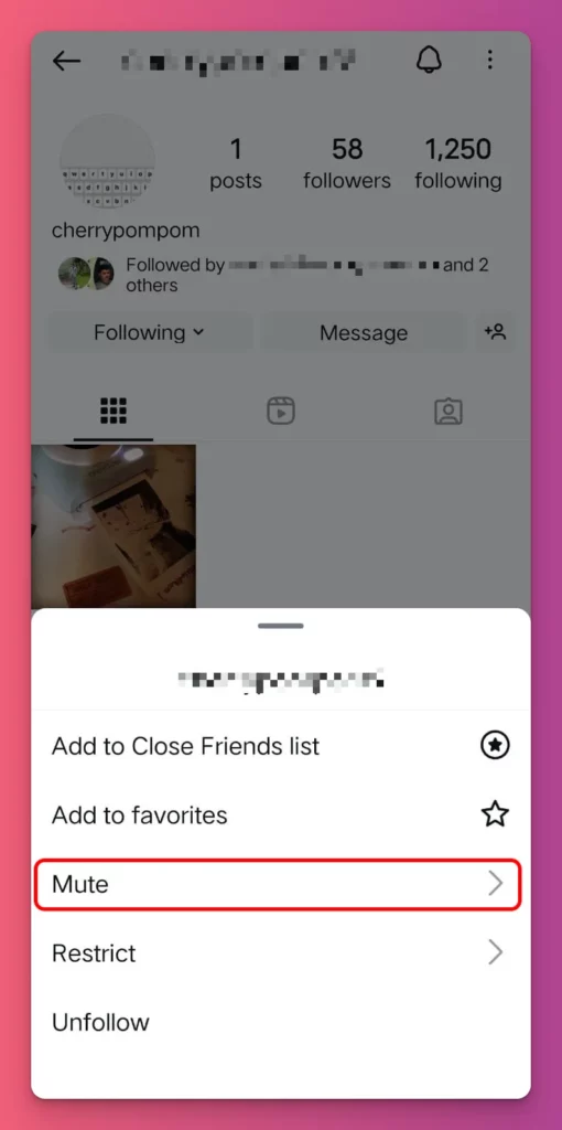 How do you mute someone on Instagram