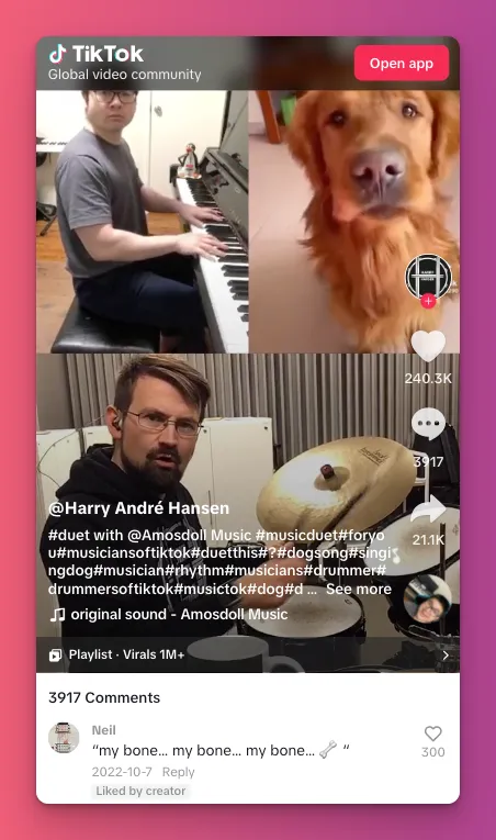 how to get more views on TikTok? Simply use TikTok Duet in your videos