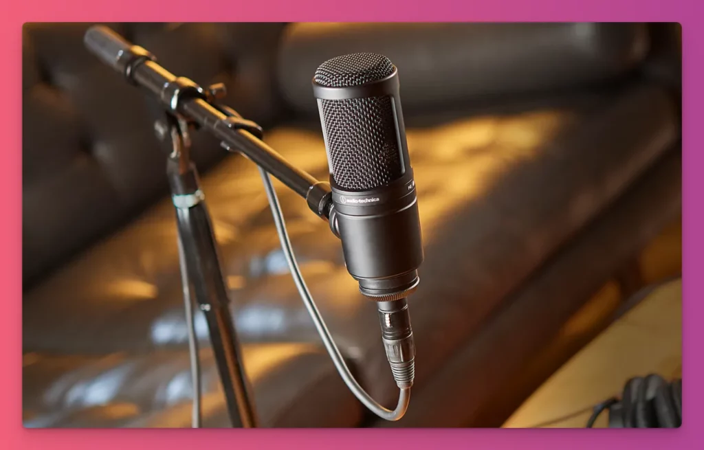 You can use Condenser mics as the most popular types of microphone