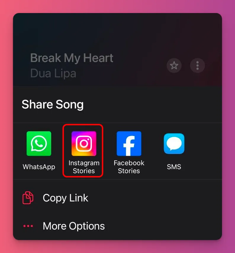 Choose instagram stories option from the Apple Music