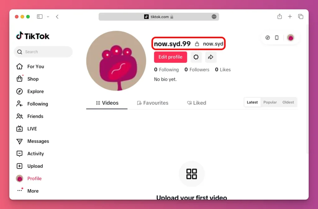 This is how it looks when changing TikTok username success
