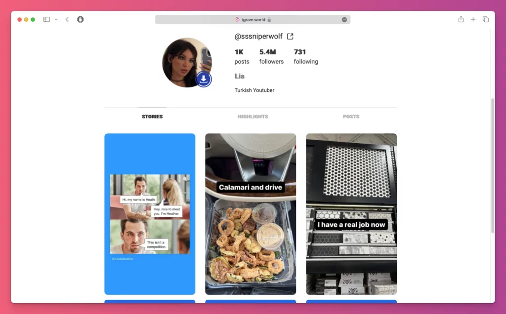 Instan cara download story ig tanpa aplikasi terlengkap 